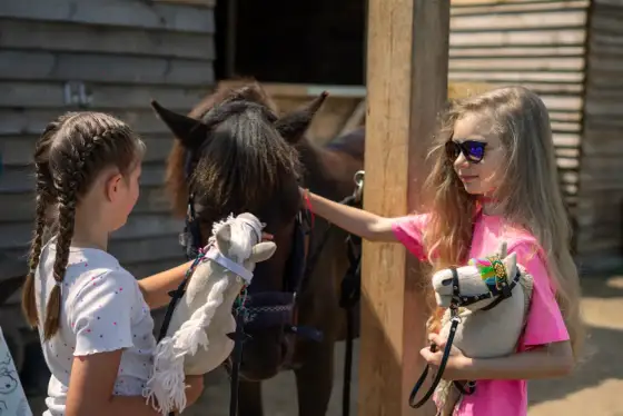 Hobby horse w Polsce - Ile kosztuje, jakie są zasady i jak zacząć?